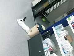 -瑞派宠物医院·CT影像中心·猫友好医院(奥城店)