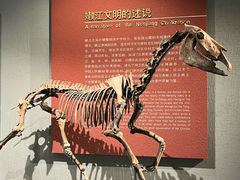 -齐齐哈尔市博物馆