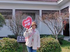 -合肥滨湖国家森林公园