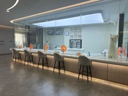 -宝生月子中心(独栋园林·福田店)
