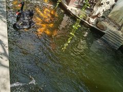 -湖鲜楼