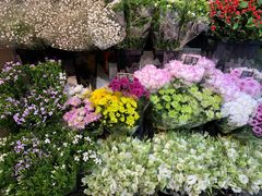 -花草间花行(法华镇路店)