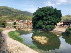 -云水谣景区