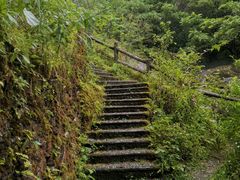 -神农架香溪源景区