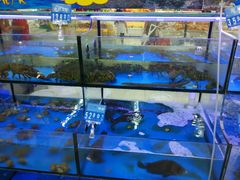 -海尚韵舍海景餐厅(朱家尖店)