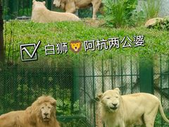 -广州动物园