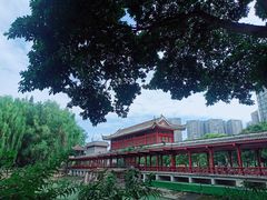 -温江公园