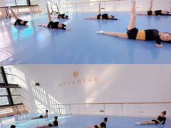 -西安小天鹅艺术团(金花路校区)