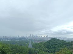 -火炉山森林公园