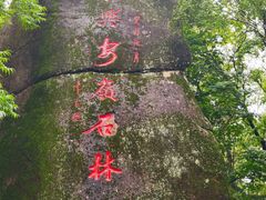 -汤旺河林海奇石景区