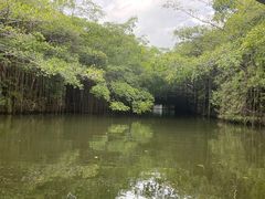 -粤晖园