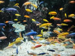 -太平洋海底世界