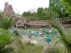 -横店影视城梦幻谷园区