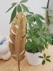 -德绣·机器野生眉发际线·美瞳线半永久