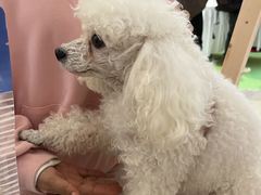 -金茂览秀城