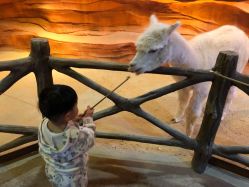 -酷嗒动物文化乐园(cutezoo西溪乐天城店)