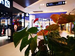 -宁波杉井奥特莱斯广场