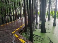 -云龙湖旅游景区