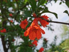 -呈贡滇池生态湿地公园