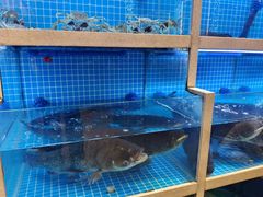-聚丰园•湖鲜餐厅(阿红私房菜梅石路店)