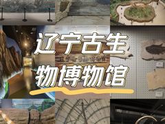 -辽宁古生物博物馆