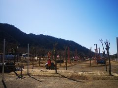 -吉姆冒险世界(蓟州店)