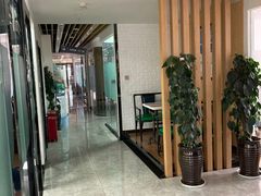 -啄木鸟美国留学(顺城东塔店)