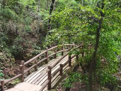 -岳麓山风景名胜区