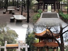 -榴花公园