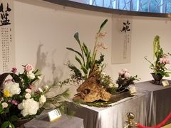 -人民公园(罗湖区)