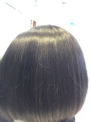 -京世沙龙