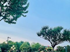 -莘庄梅园