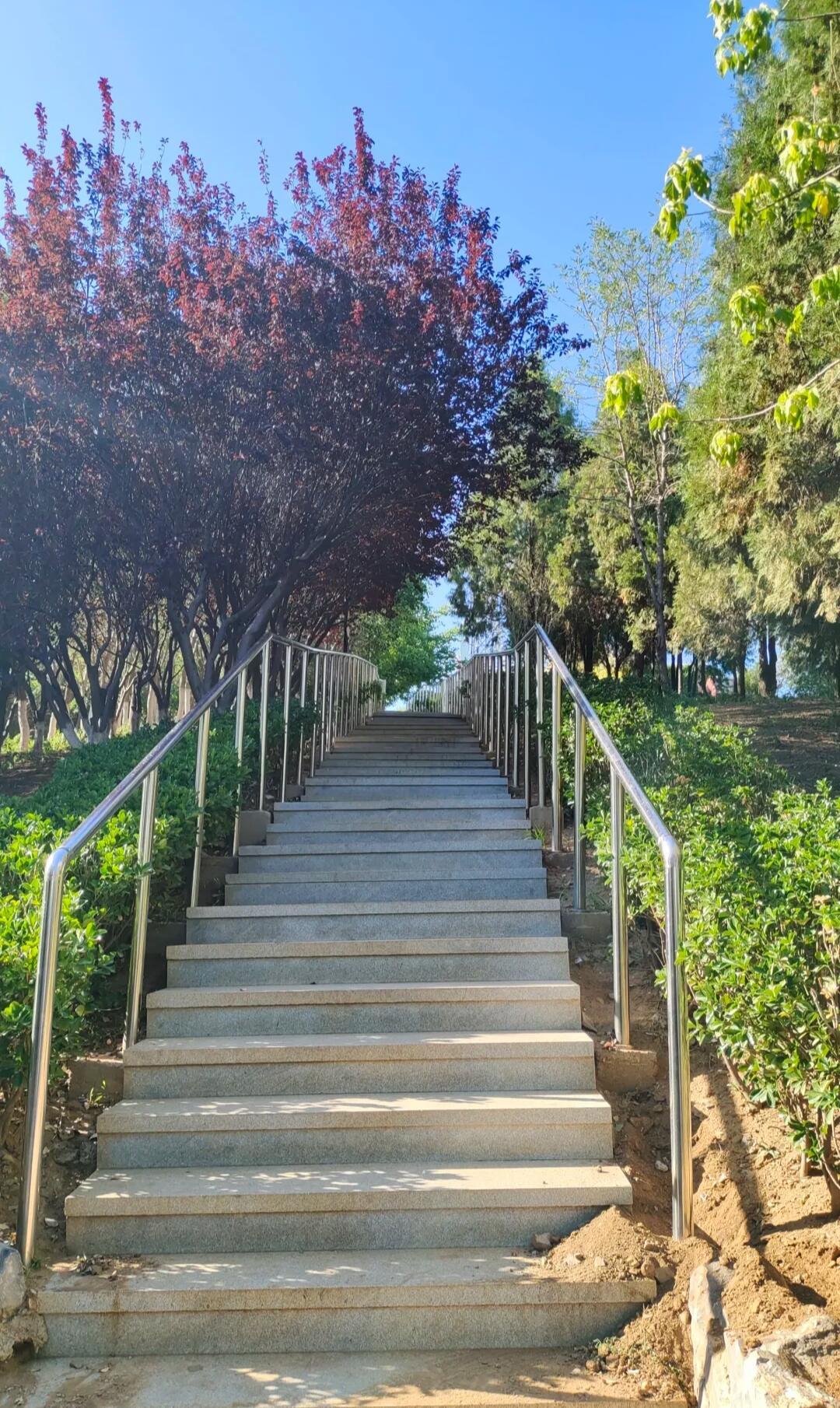 探秘大连南关岭公园,解锁小众宝藏景点
