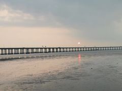 -宝安西湾红树林湿地公园