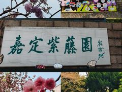 -嘉定紫藤园