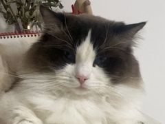 -金逸影城(影视中心IMAX店)