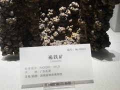 -湖南省地质博物馆