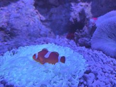 -左海海底世界