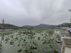 -顺峰山公园