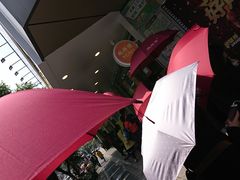 -鲍师傅糕点(春熙路店)