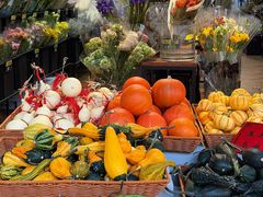 -溪岸路花鸟市场