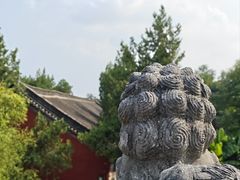 -洛阳白马寺