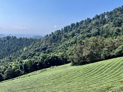 -敬亭山风景名胜区