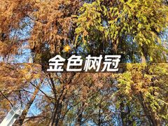 -四海公园(南山区)