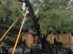 -无锡惠山寺