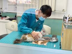 -欧奕国际动物医院