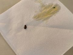 -普希金文学咖啡馆