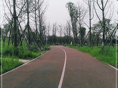 -白鹭湾湿地公园