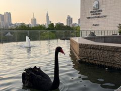 -南京圣和府邸豪华精选酒店