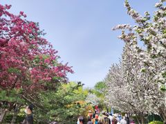 -元大都城垣遗址公园